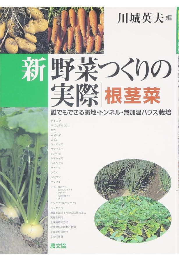 新野菜つくりの実際 果菜: 誰でもできる露地・トンネル・無加温ハウス
